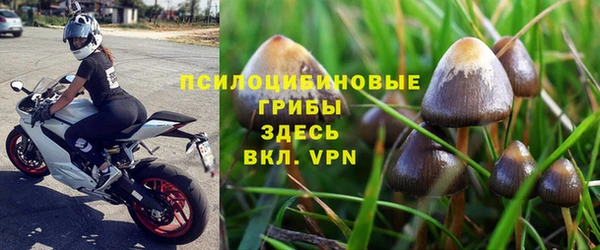 СК Алзамай