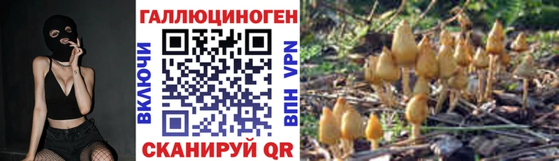 ОМГ ОМГ ссылки Тверь Псилоцибиновые грибы мицелий где продают